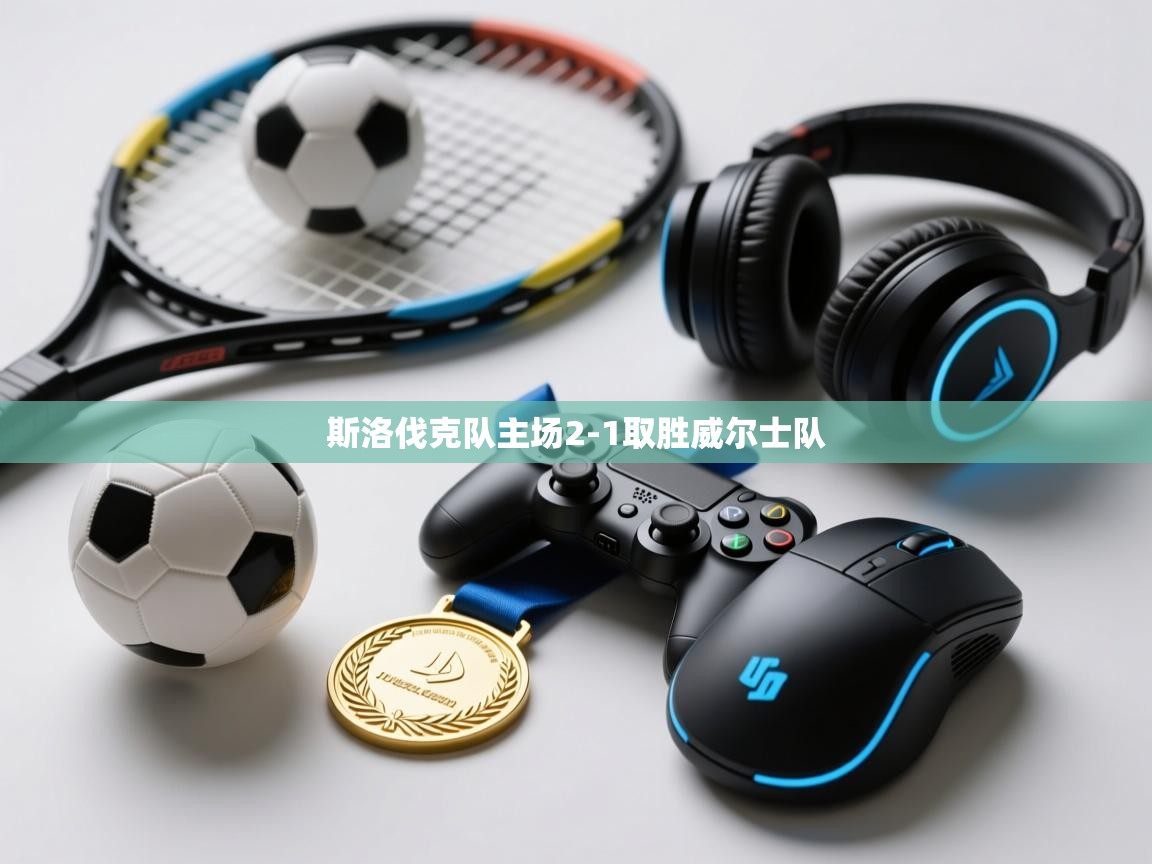 斯洛伐克队主场2-1取胜威尔士队