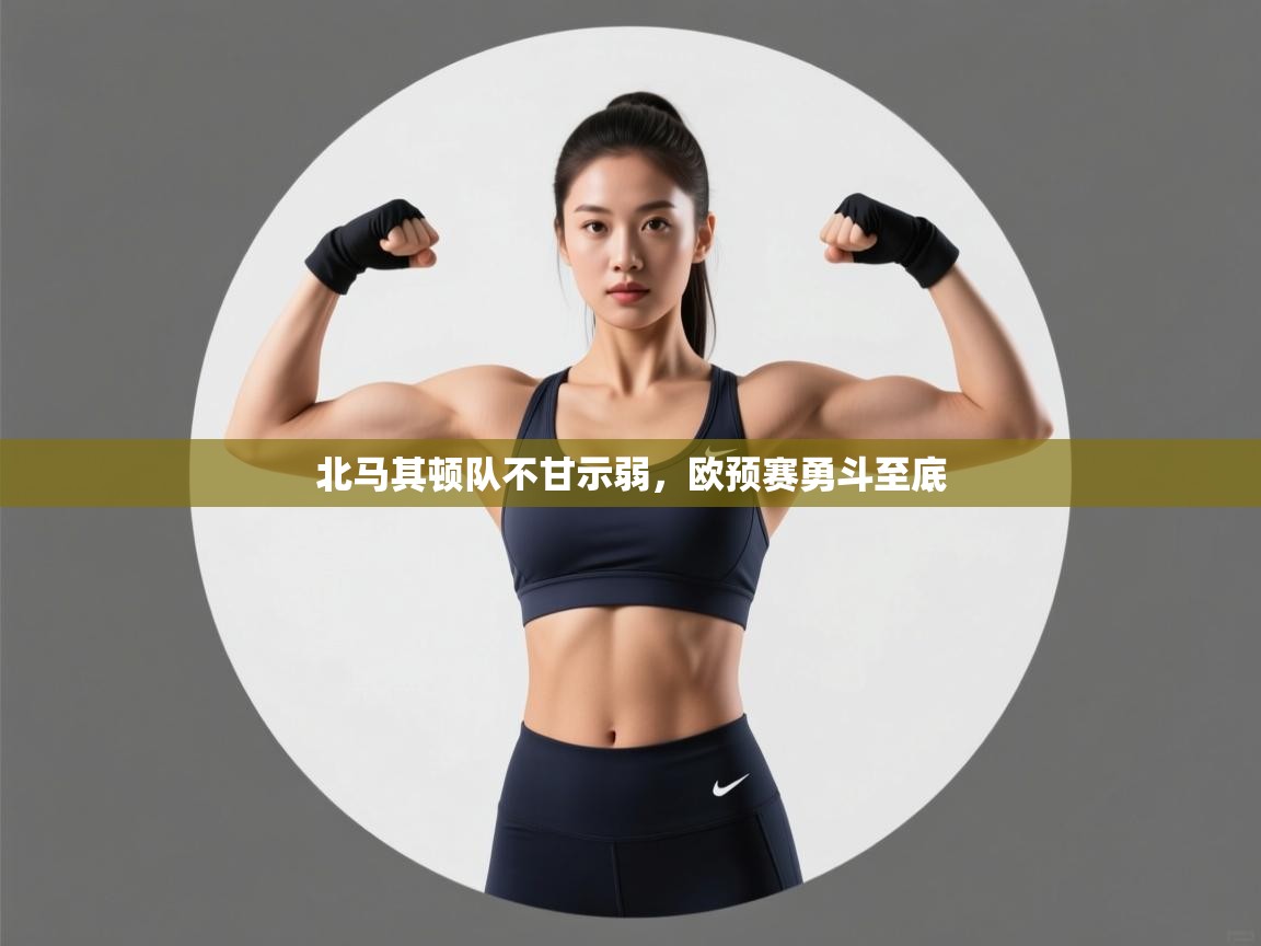 北马其顿队不甘示弱,欧预赛勇斗至底